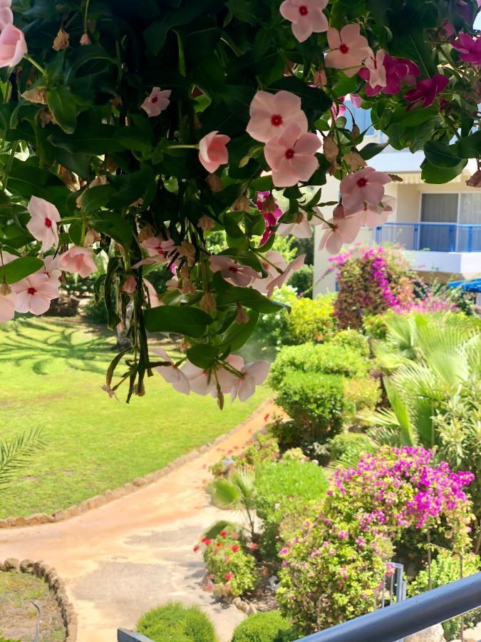 Paradise Gardens With A Large Terrace Пафос Экстерьер фото