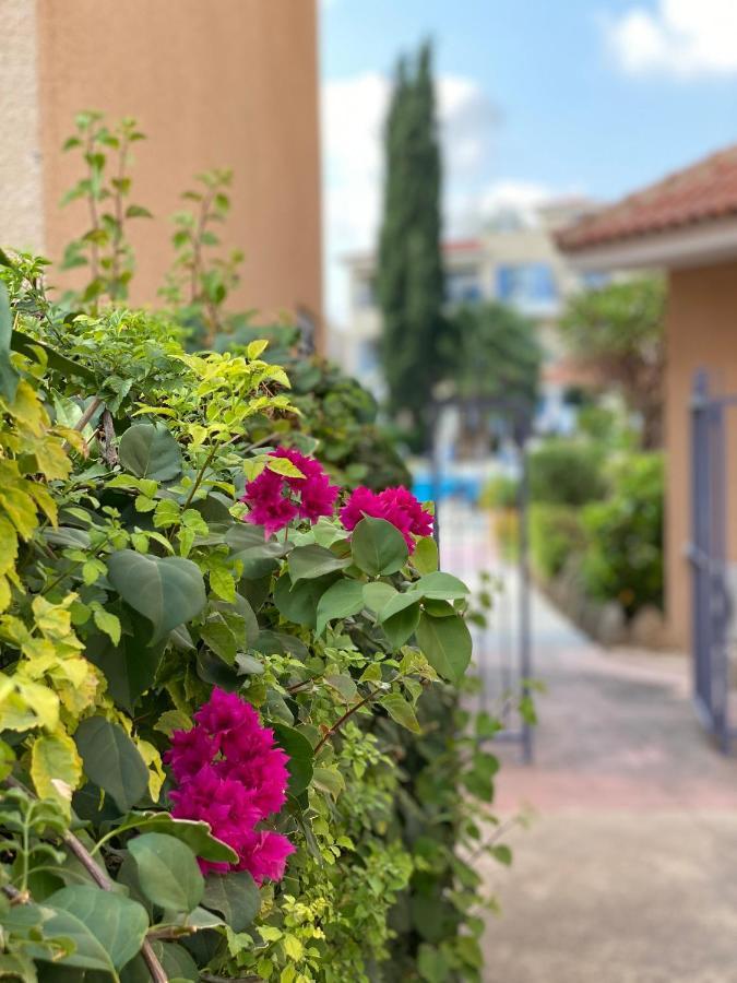 Paradise Gardens With A Large Terrace Пафос Экстерьер фото