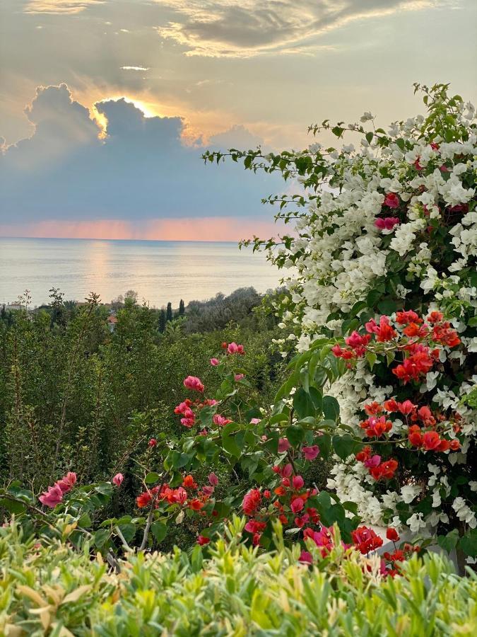 Paradise Gardens With A Large Terrace Пафос Экстерьер фото